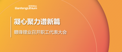 凝心聚力谱新篇 赣锋锂业第五届职工代表大会顺利召开